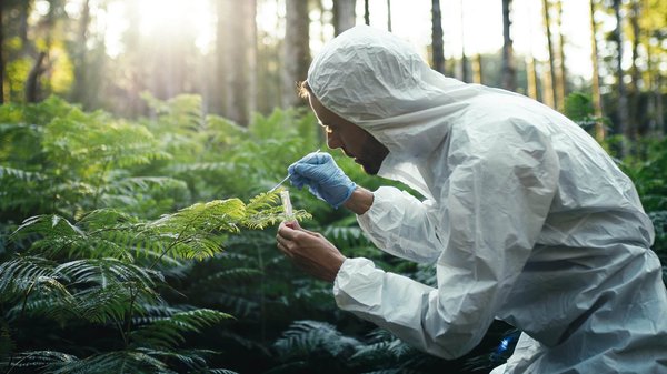 Comment devenir un professionnel de la conservation de la biodiversité ?